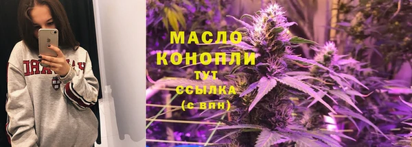 спиды Богородицк
