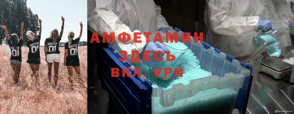 спиды Богородицк