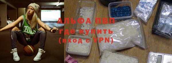 прущие грибы Снежногорск